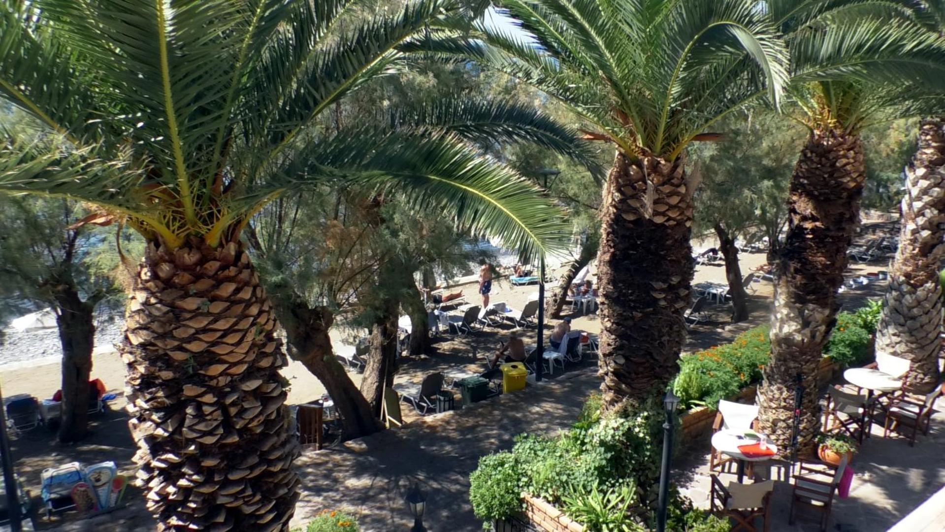 Hotel Molyvos I